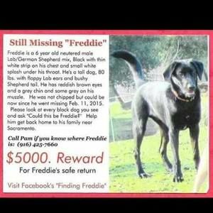 Meet your Posher, Linda